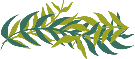 two twisted coconut-leaves-like plants the one is olive green the others is dark green